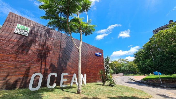 Samsung Ocean: Imersão Gratuita em IA, IoT e Prototipação em Junho
