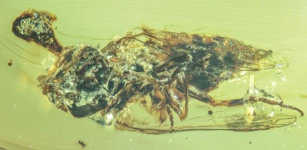 Jogos de tirar o fôlego: as maiores novidades do mundo gamer