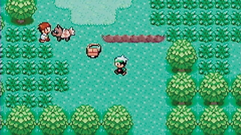 Pokémon: 21 anos de Revolução nas Batalhas de Ginásio
