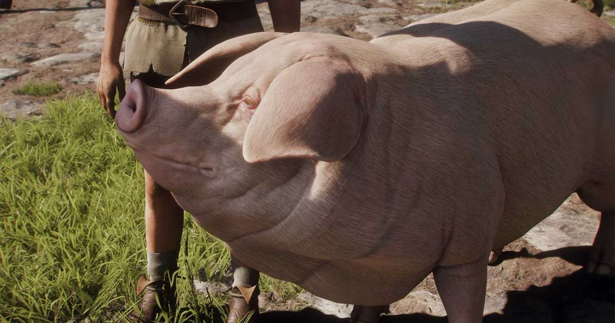 Fable ganha novo vídeo de jogabilidade com destaque para porco falante