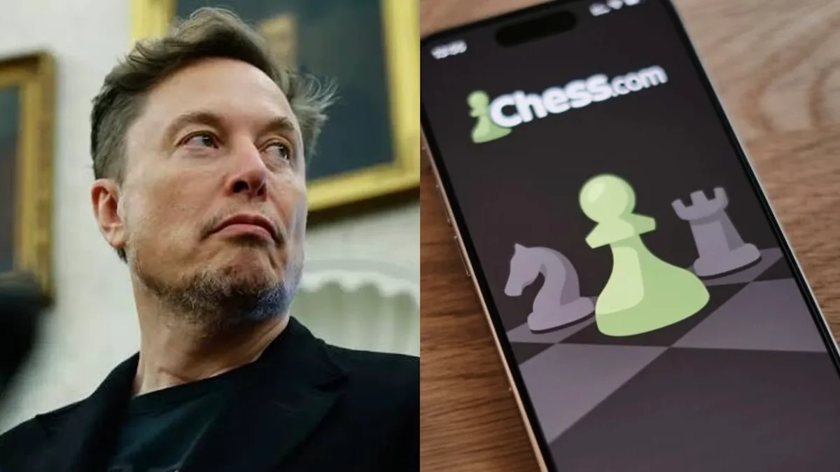 Musk desafia o Chess.com: “Um dia, o xadrez será totalmente resolvido”